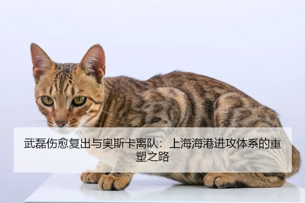 武磊伤愈复出与奥斯卡离队：上海海港进攻体系的重塑之路