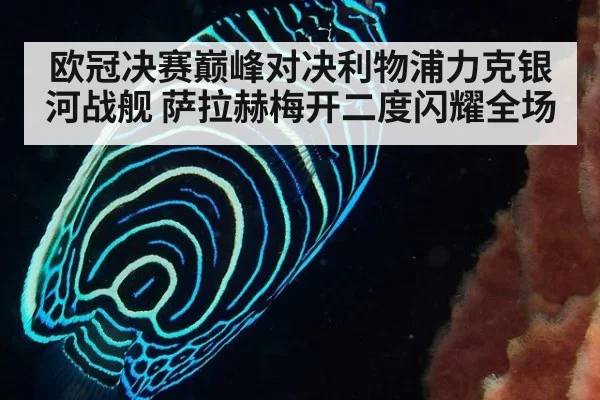 欧冠决赛巅峰对决利物浦力克银河战舰 萨拉赫梅开二度闪耀全场